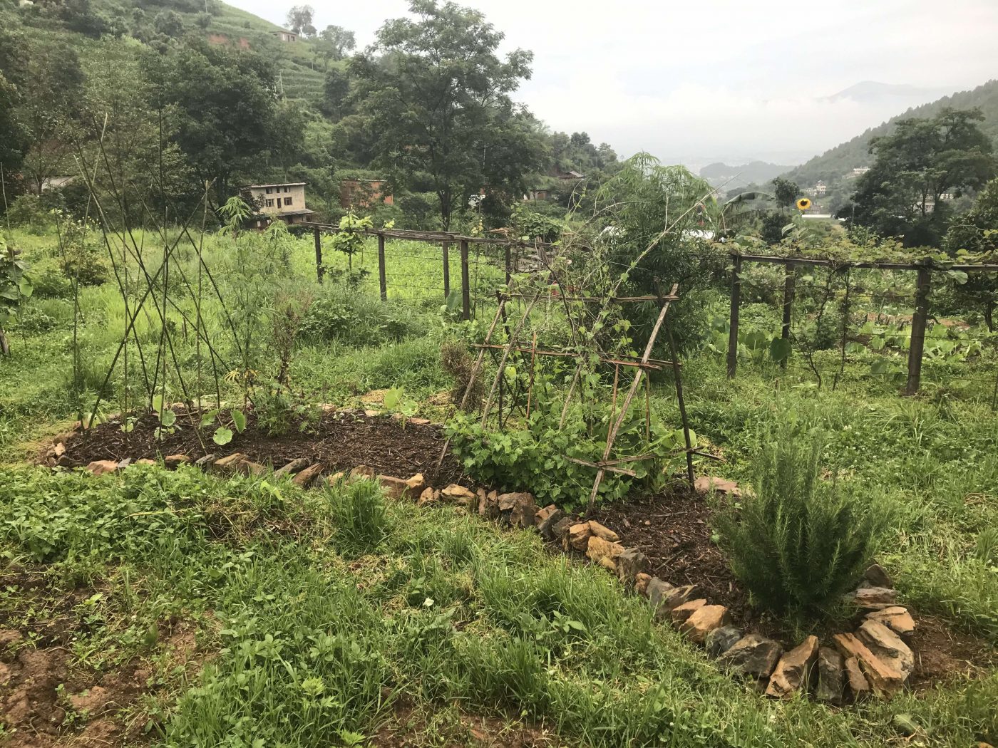 Pamoja Africa - Permaculture